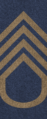 SWA First Sergeant Major.png