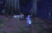 Celeenia scouting with a Sentinel at the Battle for Darkshore