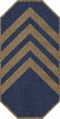 GAN Command Chief Petty Officer.png