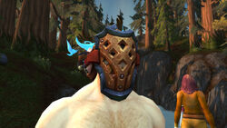 WoWScrnShot 021716 211725.jpg