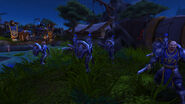 Footmen of the Alliance Army train in Stormshield.