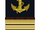 Lieutenants Commander (Navy)