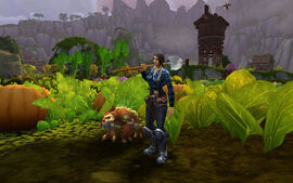 Test-Pandaria