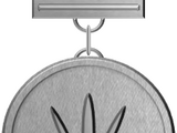 Gilnean Long Service Medal