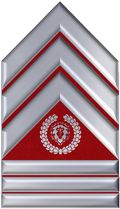 RRSergeant8