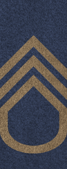 SWA Master Sergeant.png