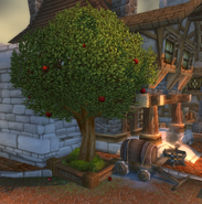 An apple tree in the Dwarven District of Stormwind City.