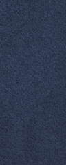 SWA Recruit.png