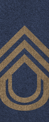 SWA Chief Sergeant.png