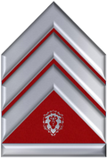 RRSergeant2