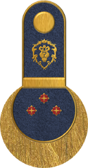 SWA Commander.png