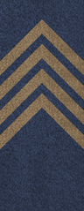SWA Sergeant Major.png
