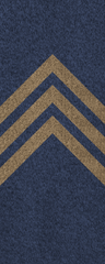 SWA Sergeant.png