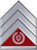 RRSergeant4