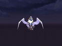 Crusader of Wrynn gryphon doing flying excersises