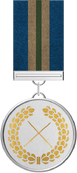 Alliance Commendation for Leadership.png