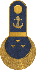 GAN Captain.png