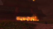 Trapped citizens burn to death in the buildings of Darnassus.