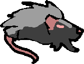Bone(RATS) | Mooncats Wiki | Fandom