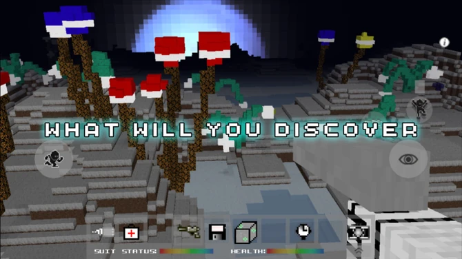 What will you discover?