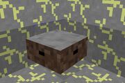 Brown Mob in 6x6 Gold Room