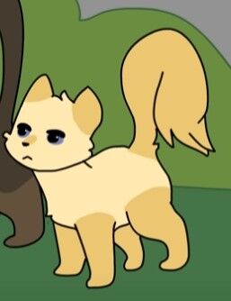 Birdtail | Moonkitti's StoneClan Wiki | Fandom Birdtail | Moonkitti's StoneClan Wiki | Fandom