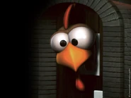 Das Moorhuhn blickt aus dem Fenster