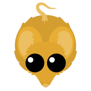 The Golden skin of the Mouse