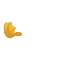 The unused left wing asset of the Golden Dragon