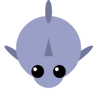 Shark