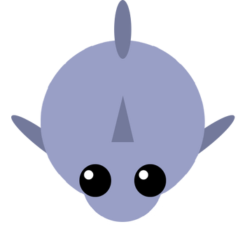 Shark