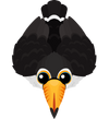 Toucan-S2.png