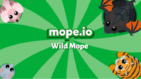 Wild Mope Promo
