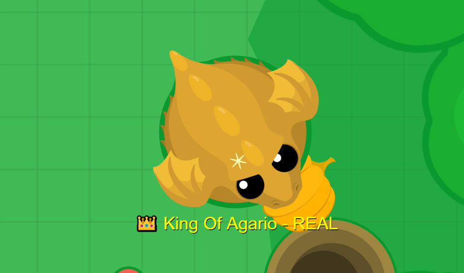 Just got the Huge Happy rock while AFK. Wasn't golden for some odd reason :  r/PetSimulatorX