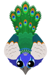 Peacock-S2.png