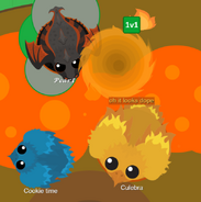 A Golden Phoenix remarking about the animated Phoenix skins to a Forge Dragon and Alpha Phoenix. Note the red orange background for chat due to being at the Volcano.