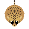 Cheetah-S2.png