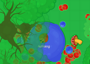 A Chicken surrounded by berries due to a client-side glitch