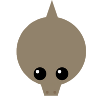 Waranzkomodo