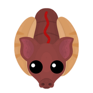 The Hot Dog Pig (in-Store from October 25, 2021 – present)