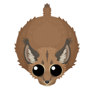 Season 2 Caracal[27]
