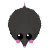 Mole-S2.png