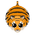 Tiger-S2