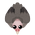 Vulture