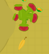 A Golden Umbrella next to a Venus Flytrap.