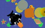 A Killer Whale with a pumpkin near 2 beehives and a conch.