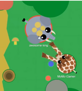 Giraffe attacking an Elephant.