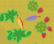 Umbrellas next to Aloevera and cacti.