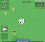 A White Lion near some mushrooms