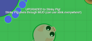 A freshly upgraded, rare Stinky Pig!